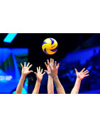 voleibol